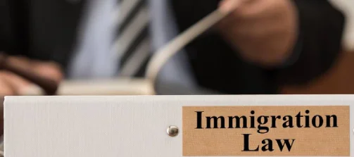 Why should you hire an immigration lawyer in dublin